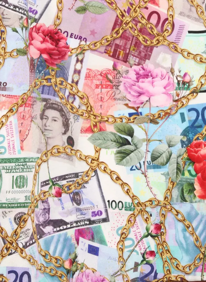Fleur Du Mal Panties and Garters Women So Money Luxe V String So Money Print Fleur Du Mal Panties and Garters Women So Money Luxe V String So Money Print