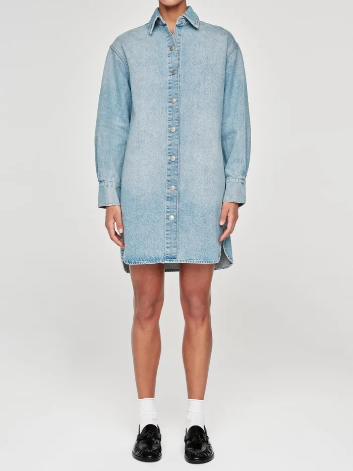 Women Faye Shirt Dress DL1961 Dresses