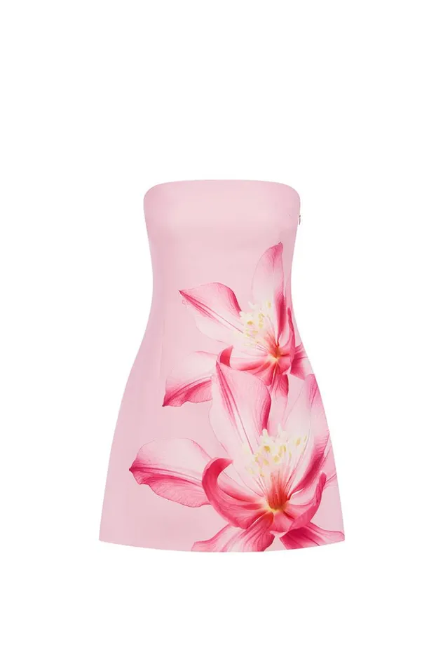 Women Mini Dresses Runaway The Label PRIMROSE MINI DRESS Pink Flower